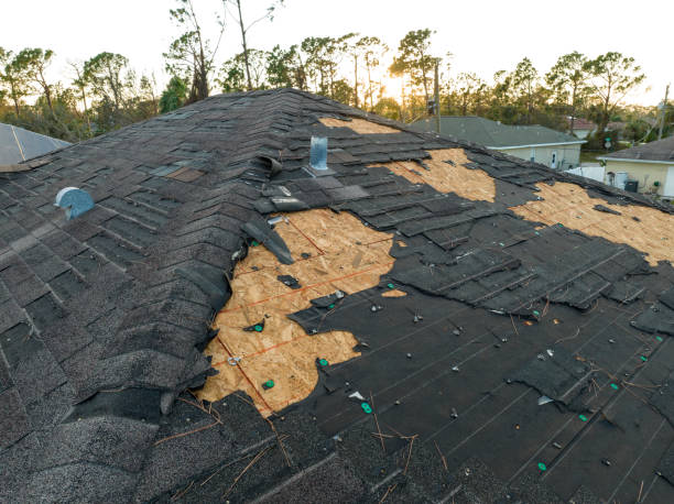 Roof Insulation